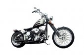 2008 Titan Bobber Deluxe photo